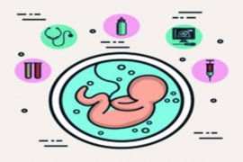 怀孕初期吃牛初乳好吗什么时候吃（孕妇吃牛初
